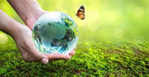 Yucatán se suma a “Va por la Tierra”: una apuesta por el futuro del planeta
