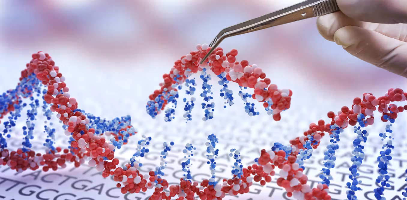 La polémica de la eugenesia: modificar el ADN de los bebés, ¿es peligroso?