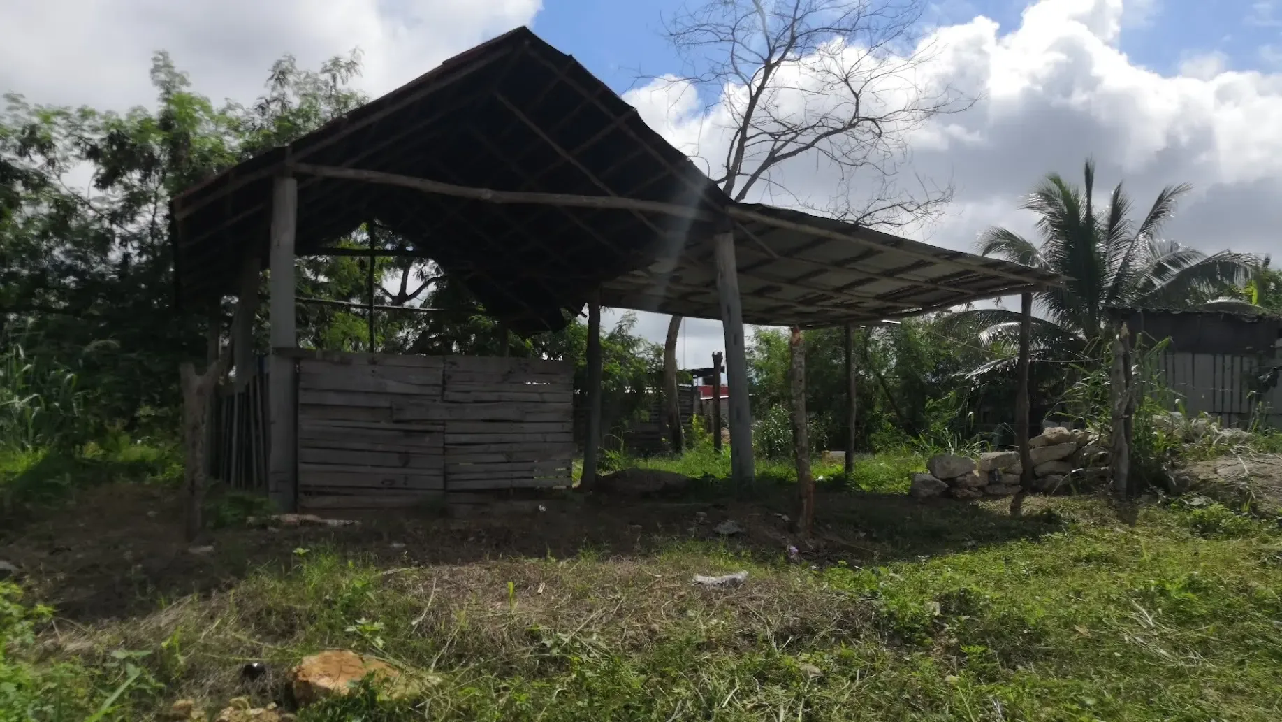 Quintana Roo registra 540 casos de desnutrición en 2026