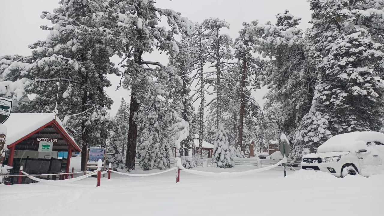 Tormenta invernal Alston: siete estados de Estados Unidos bajo alerta máxima