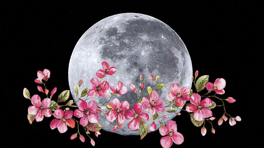 Luna de flores 2025: el último espectáculo de la microluna del año