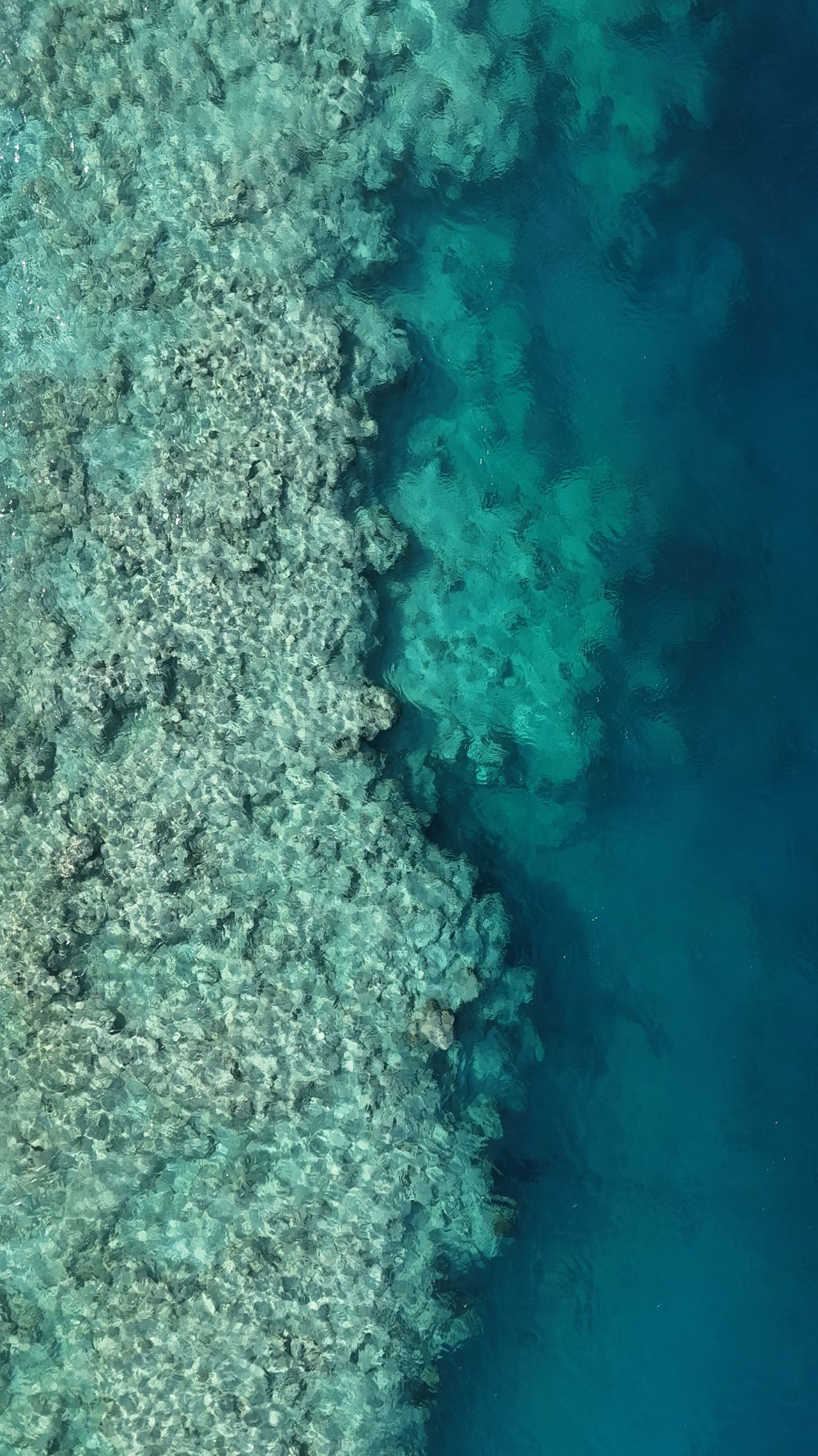 Piñero reconoce proyectos sustentables en Quintana Roo durante la segunda edición de los Premios Los +Ecoístas México 2026