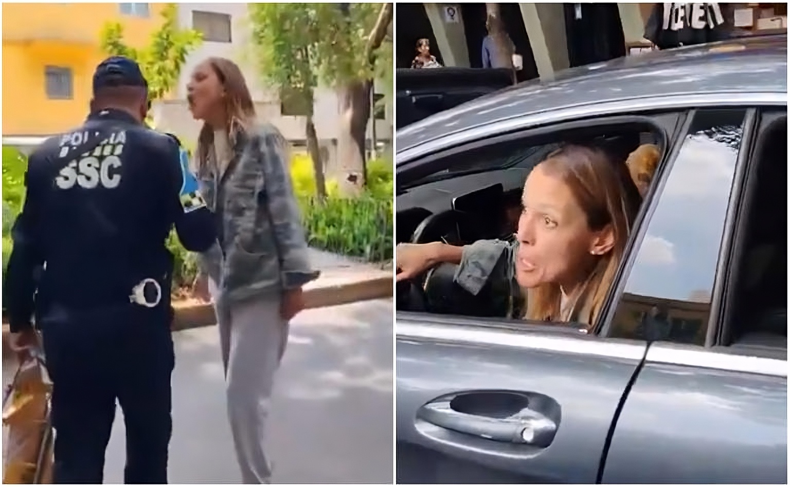 Ximena Pichel “Lady Racista” tomará terapia tras agresión a policía