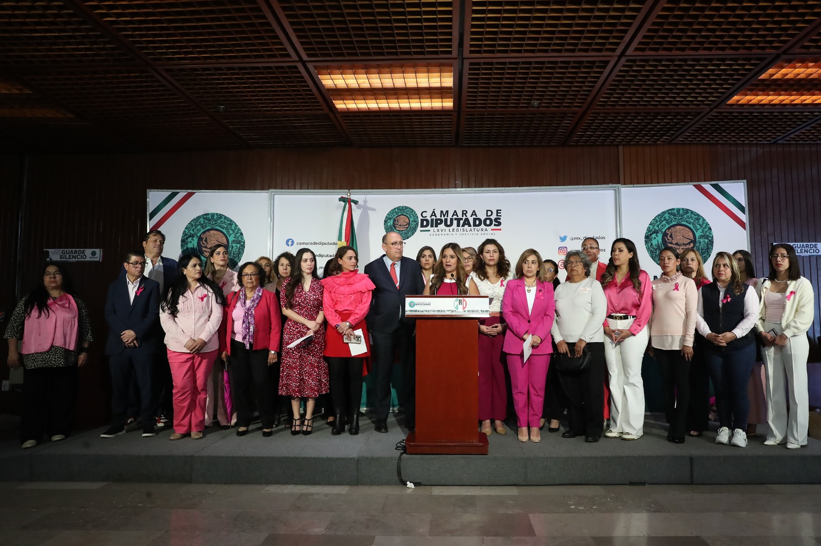 Instituto Nacional del Cáncer de Mama: Propuesta en Cámara de Diputados