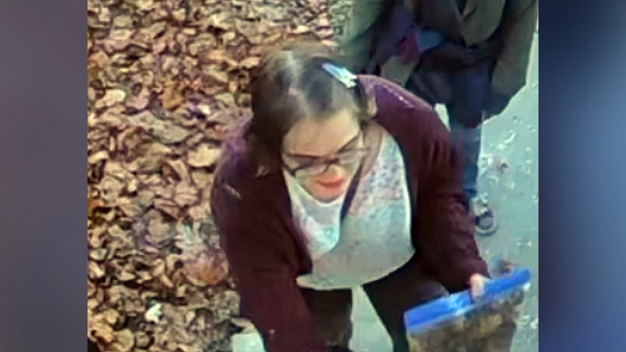La fugitiva del caso Slender Man: Morgan Geyser, recapturada tras escapar