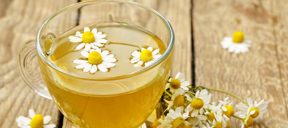 Infusiones herbales: La ciencia detrás de la calma y el buen dormir