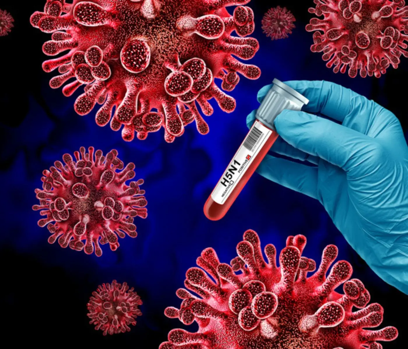 Influenza aviar H5N1: México confirma el primer caso humano y enciende alertas