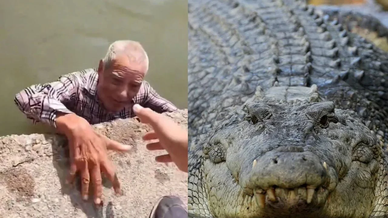 Viral: Abuelito rescatado de cocodrilo era desaparecido de San Luis Potosí