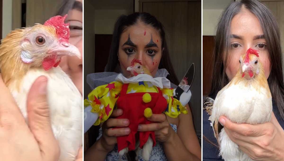 El disfraz de payaso terrorífico de Cookie: El pollo viral de Halloween 2025